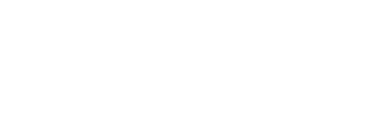 Brandz Marketing